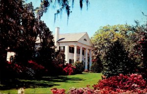 North Carolina Wilmington The Orton PLantation 1964