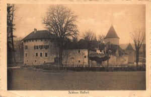 SCHLOSS HALLWIL SWITZERLAND~PANORAMA~1927 GUGGENHEIM PHOTO POSTCARD