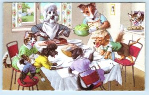 MAINZER DRESSED DOGS at DINNER TABLE Cats,Poodle & Collie #4924 Belgium Postcard