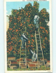 Pre-Chrome FARM SCENE Published In Los Angeles California CA AG2386