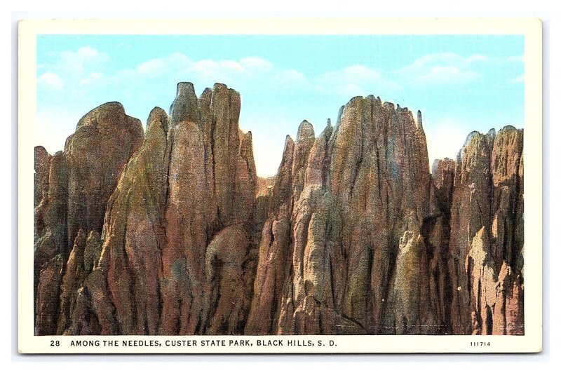 Among The Needles Custer State Park Black Hills S. D. South Dakota Postcard