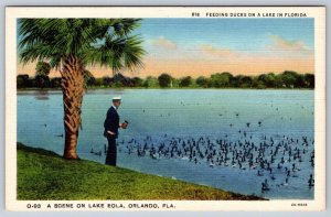 Feeding Ducks, Lake Eola, Orlando, Florida FL, Vintage Linen Postcard