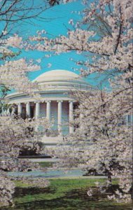 Washington D C Jefferson Memorial With Cherry Blossoms