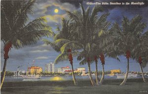 Palm Beaches in the Moonlight  Palm Beach FL