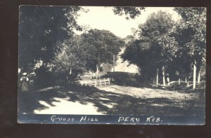 RPPC PERU NEBRASKA GOOSE HILL VINTAGE REAL PHOTO POSTCARD