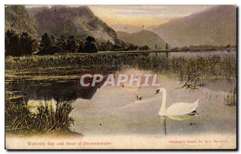 Old Postcard Waterlily Bay and head of Derwentwater Swan Swan