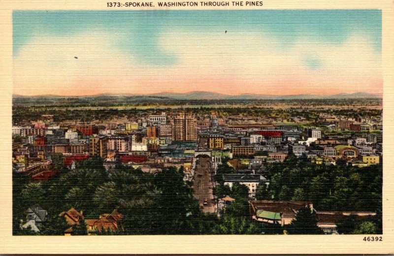 Washington Spokane Aerial View Through The Pines