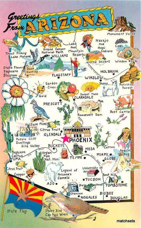 1950s Map Attractions ARIZONA Tichnor Postcard 5494 United States