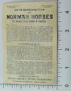 1881 Norman Horses Breeders Mrs. James A Garfield President's Wife P66