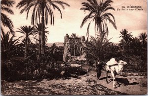 Tunisia Médenine Un Puits dans l'Oasis Vintage Postcard C158