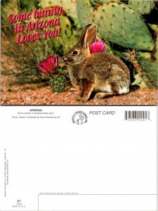 Some bunny in Arizona Loves You (14500