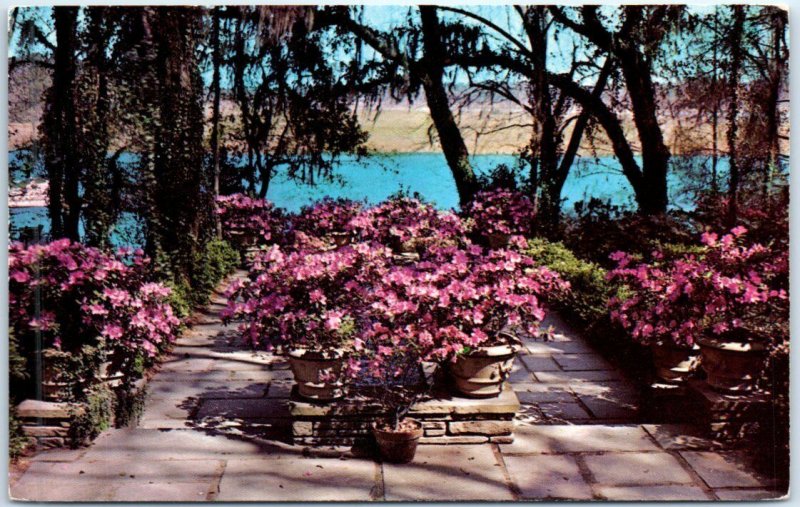 An Azalea bedecked Patio overlooking the River, Bellingrath Gardens - Alabama