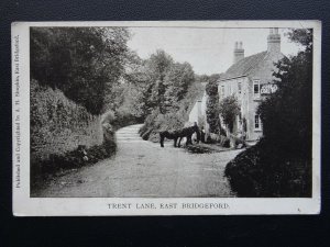 Nottinghamshire EAST BRIDGEFORD Trent Lane shows COAL MERCHANT - Old Postcard