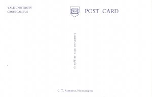 US    PC4413   YALE UNIVERSITY CROSS CAMPUS