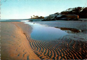 South Carolina Hilton Haed Island Beach Scene Showing Remains Of Spanish-Amer...