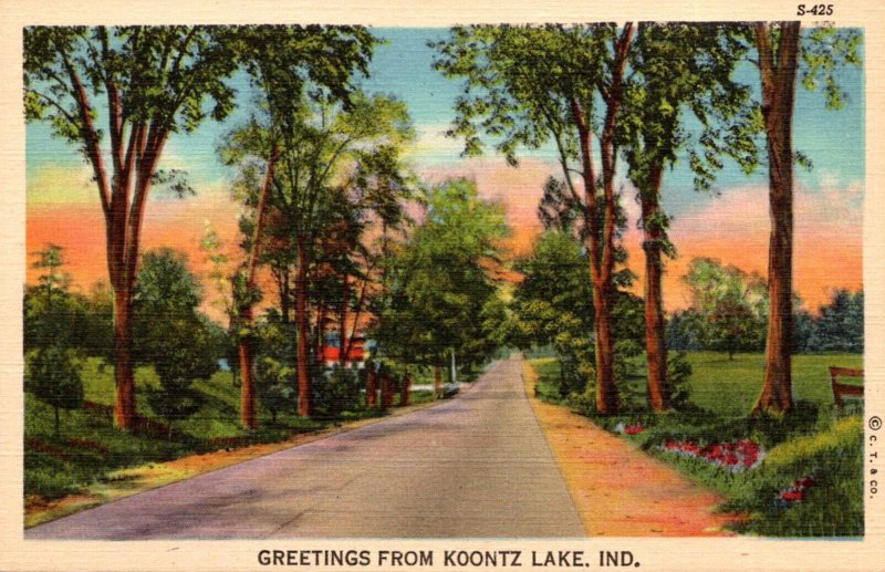 Indiana Greetings From Koontz Lake Curteich