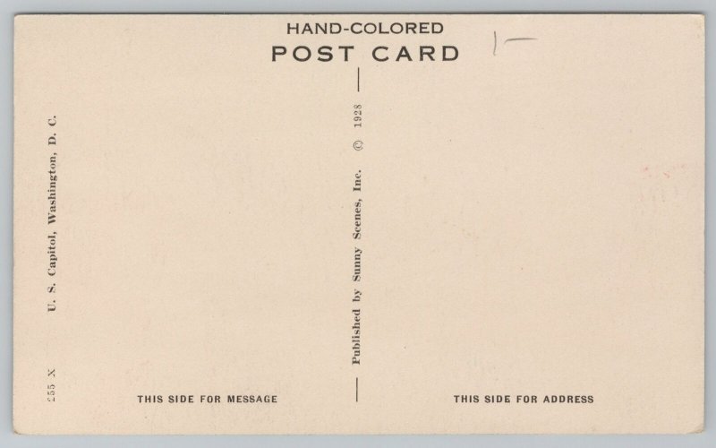 Washington DC~US Capitol & Grounds~Vintage Postcard 