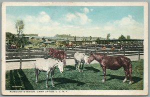 CAMP UPTON LONG ISLAND NY REMOUNT STATION ANTIQUE POSTCARD