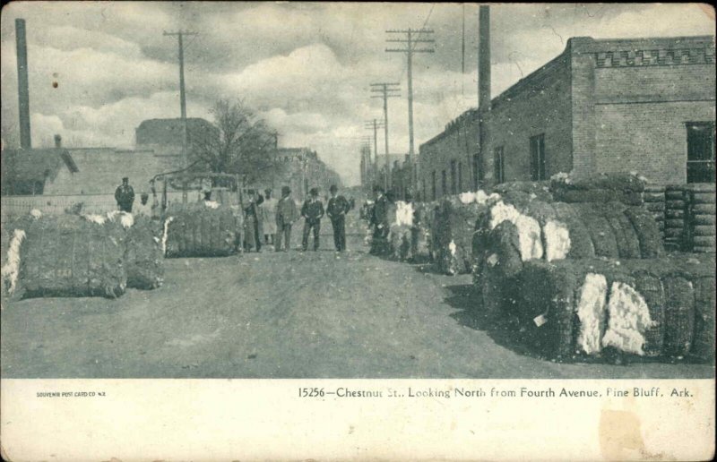 Pine Bluff Arkansas AR Chestnut Street Agriculture c1910 Vintage Postcard