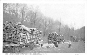 Geo I. Treyz Wood Transportation - Cooks Falls, New York NY  