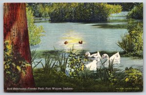 Fort Wayne IN~Swans & Ducks In Bird Sanctuary @ Franke Park~Vintage Linen PC