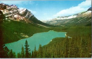 Mt Patterson and Peyto Lake Banff National Park Postcard