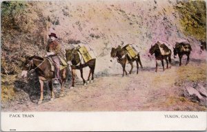 Pack Train Yukon YT Mules Miner c1911 Auburn ONT Split Ring Cancel Postcard H48