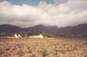 South Africa Cape Town A Vineyard Fransch Hoek Valley