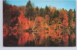 Autumn, Fall Colours, Red Canoe, Lake Scene, Canada, Vintage Chrome Postcard #1