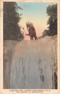 Bushkill Falls Pennsylvania Chief Red Wing Native American Indian PC AA49803