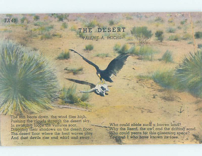 Linen BIRD SITTING ON SKULL IN THE DESERT Postmarked Gainesville Texas TX AD6606