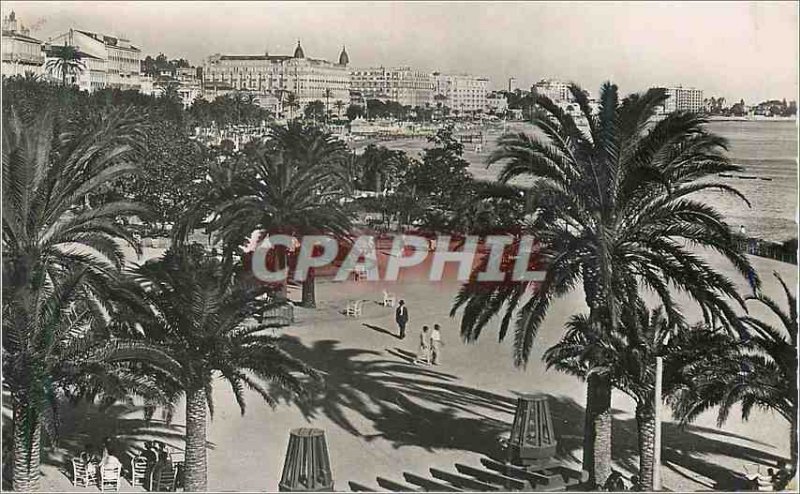 Modern Postcard Cannes Gardens Edward VII and the Croisette