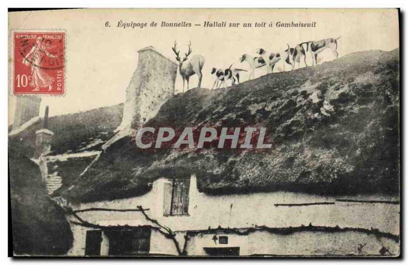 Old Postcard Hunting hounds Crew has Bonnelles Hallali on a roof Gambaiseuil ...