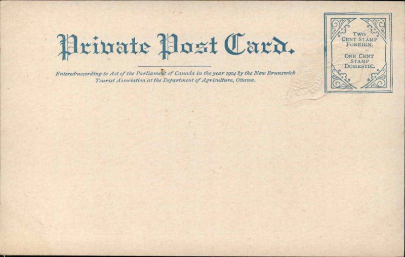 St. John New Brunswick NB King Square Embossed Flag c1905 Vintage Postcard