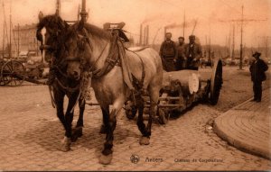 Belgium Anvers Chevaux de Corporations Horses Pulling Loaded Cart