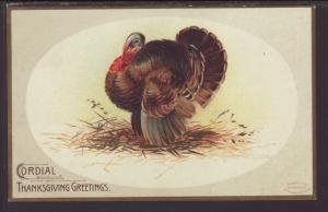 Thanksgiving Greetings,Turkey,Clapsaddle Postcard