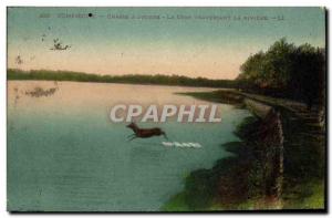 Old Postcard Hunting hounds has Compiegne Deer crossing the river