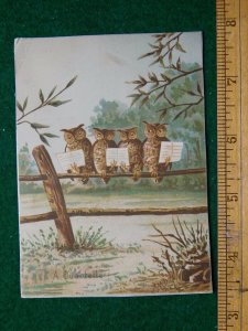 1870s-80s Christmas Harmony Poem Lewis Novra Owls Reading Trade Card F23