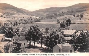 Looking toward Montgomery Hollow - Roxbury, New York NY  