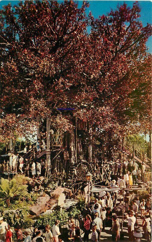 Adventureland amusement Disneyland Anaheim California Jungle Postcard 3039