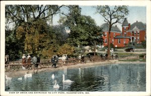 Hagerstown Maryland City Park Entrance Swan c1900-20s Vintage Postcard