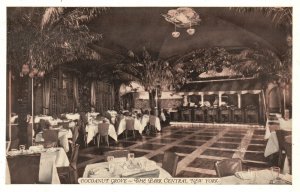 Vintage Postcard 1920's Cocoanut Grove Delightful Spot Park Central New York NY