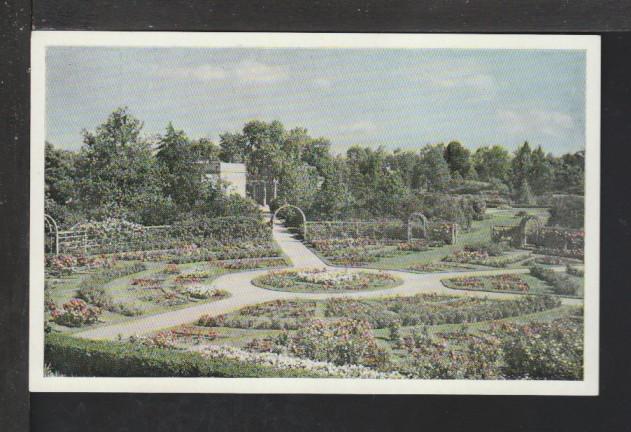 The Rose Garden,MO Botanical Gardens,St Louis,MO Postcard 