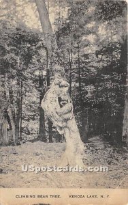 Climbing Bear Tree - Kenoza Lake, New York NY  