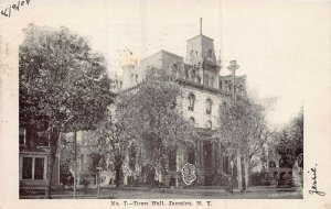 JAMAICA NEW YORK~TOWN HALL~1906 POSTCARD