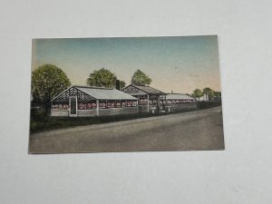 Postcard Elble’s Flowers New Britain PA Bucks County