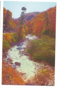 NC Mountain Views Autumn Mt. Mitchell North Carolina 3 cards