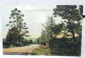 View on Boglouster near Whithouse Aberdeen Scotland Vintage Postcard 1917