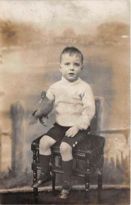 Little boy holding a bird Child, People Photo Unused 