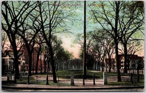 1912 Mill Lynn Common Massachusetts MA Trees Building & Grounds Posted Postcard